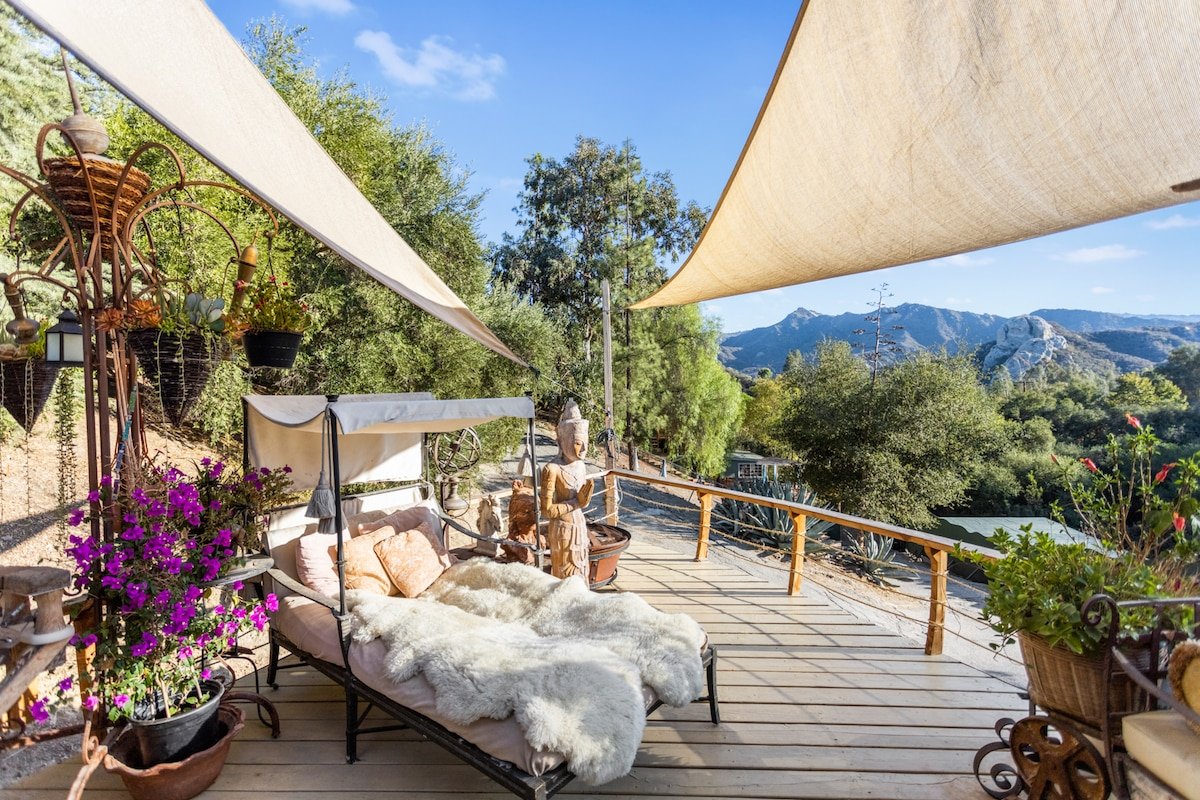 @MotherShippo family Sanctuary gallery image 4