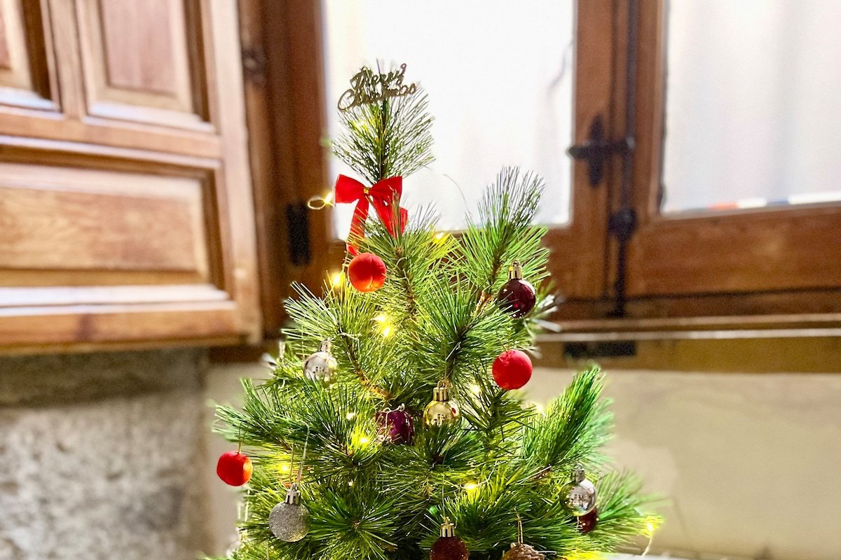 La Latina, three bedrooms apartment downtown gallery image 4