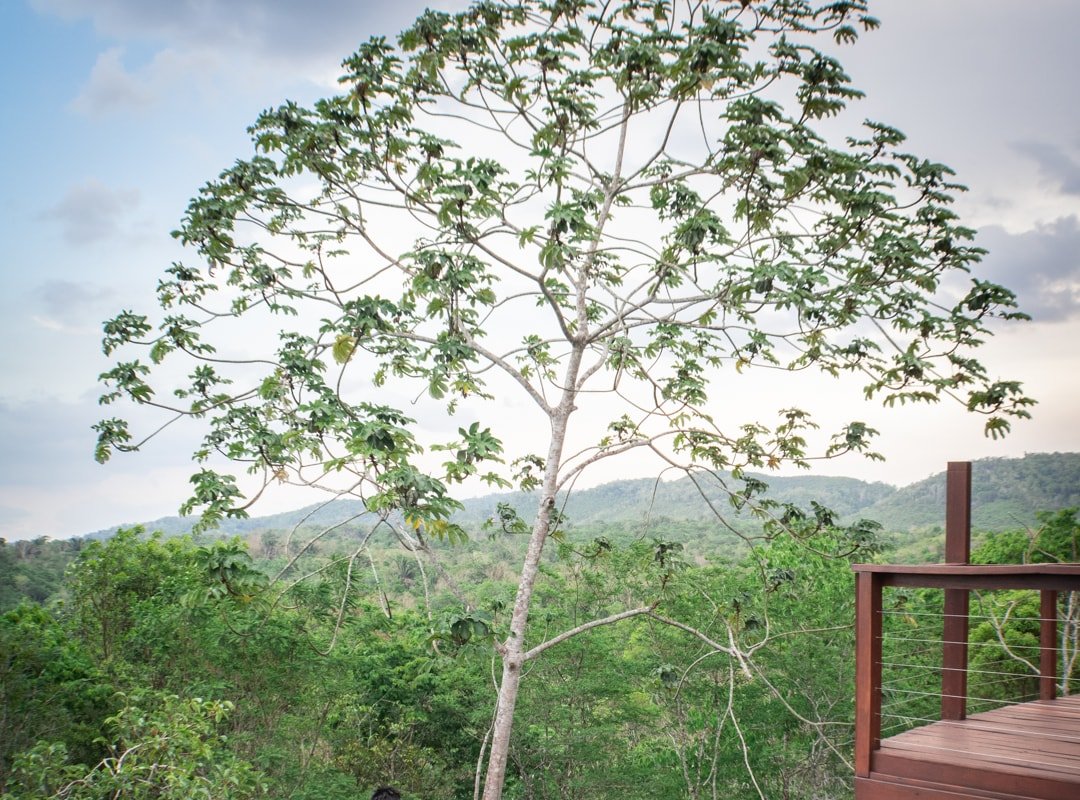 Luxury Private Villa with pool on hilltop gallery image 2