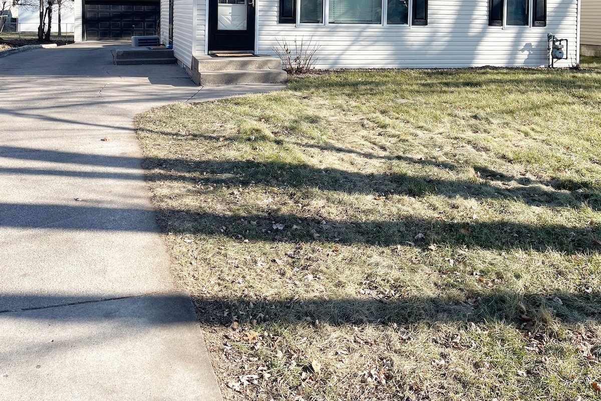 Maplewood’s Hidden Charm in the Gladstone Area gallery image 3