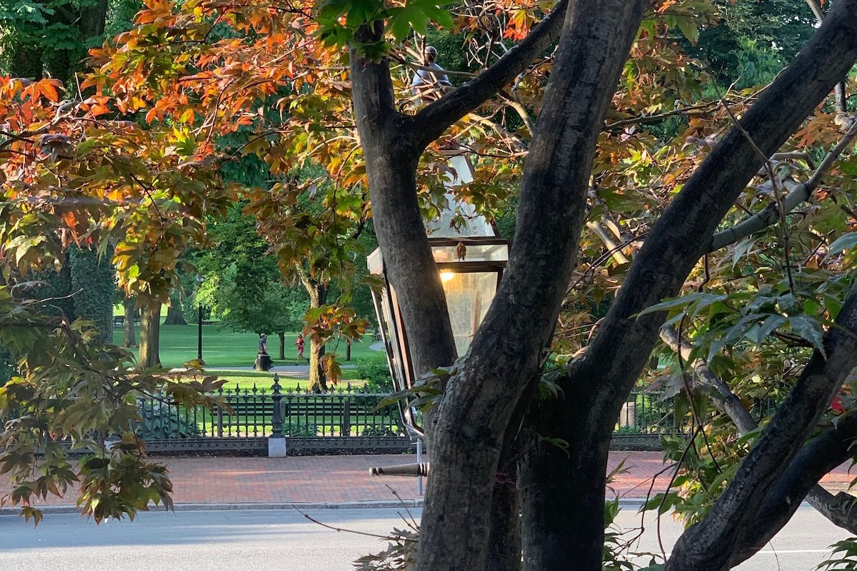 Stunning Beacon Hill Boston Townhouse Apartment gallery image 4
