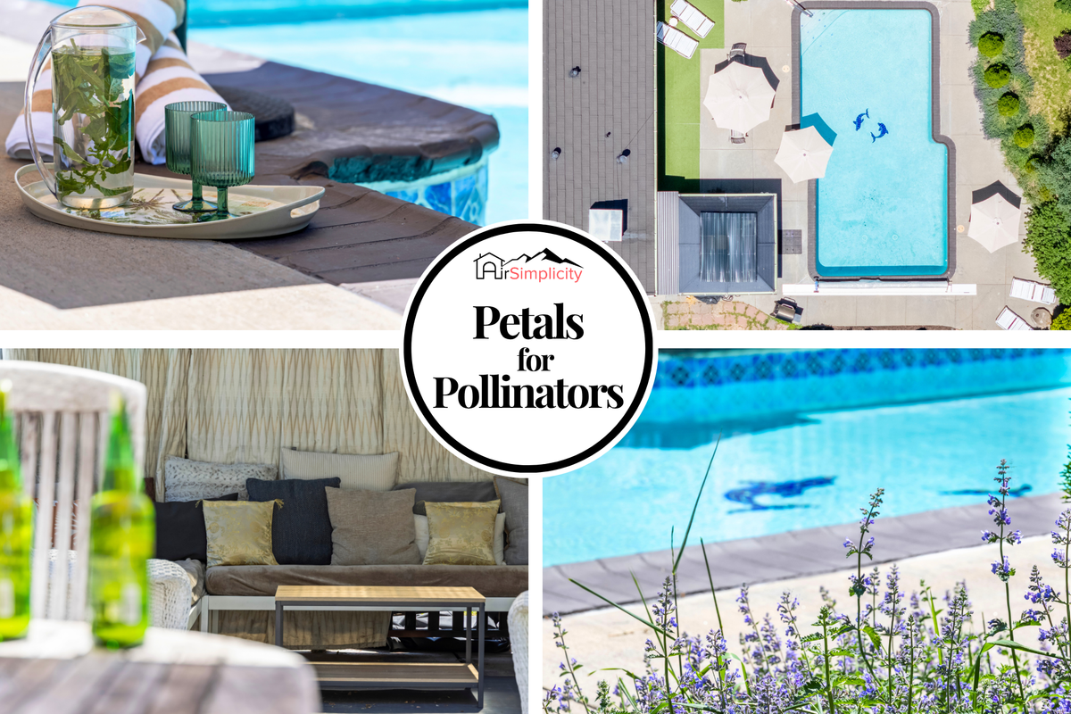 Petals 4 Pollinators | Peaceful Stay in Denver