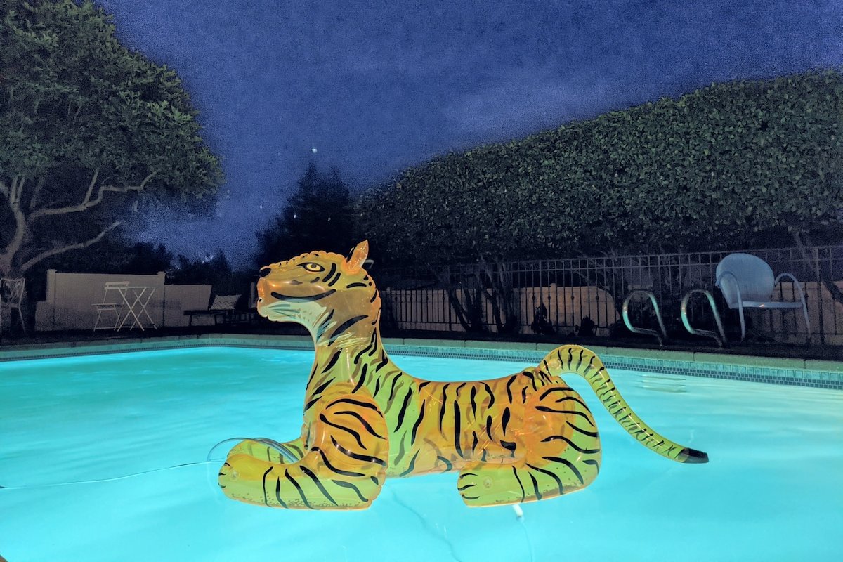 ★ Unique & Lovely on Queen Anne ★Close to Downtown gallery image 5