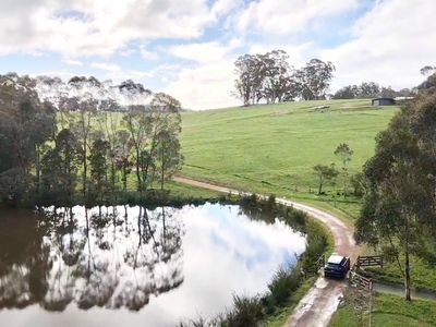 Scotsdale Farm – Denmark