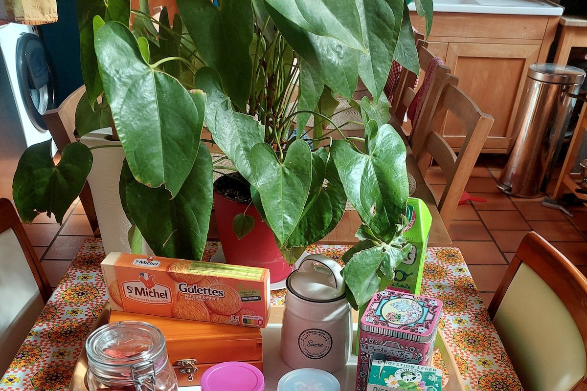 Spacious apartment in the district of Croix rousse gallery image 5