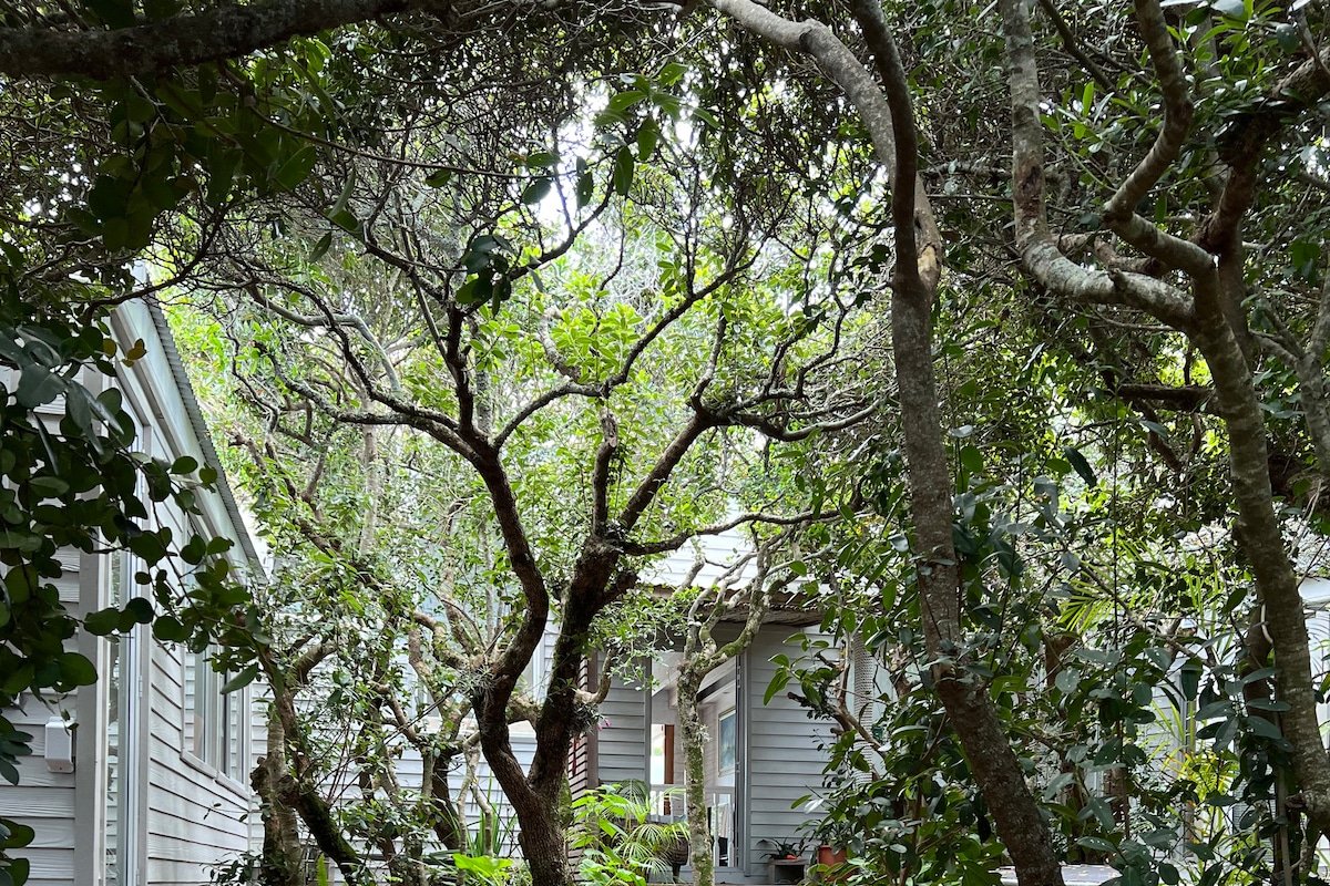 Beach Forest Hideaway gallery image 2