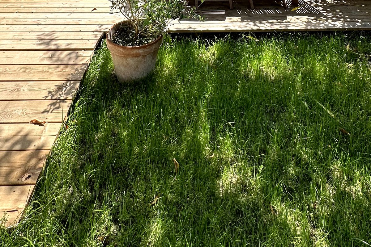 Le Saint-Michel – Garden and tranquility