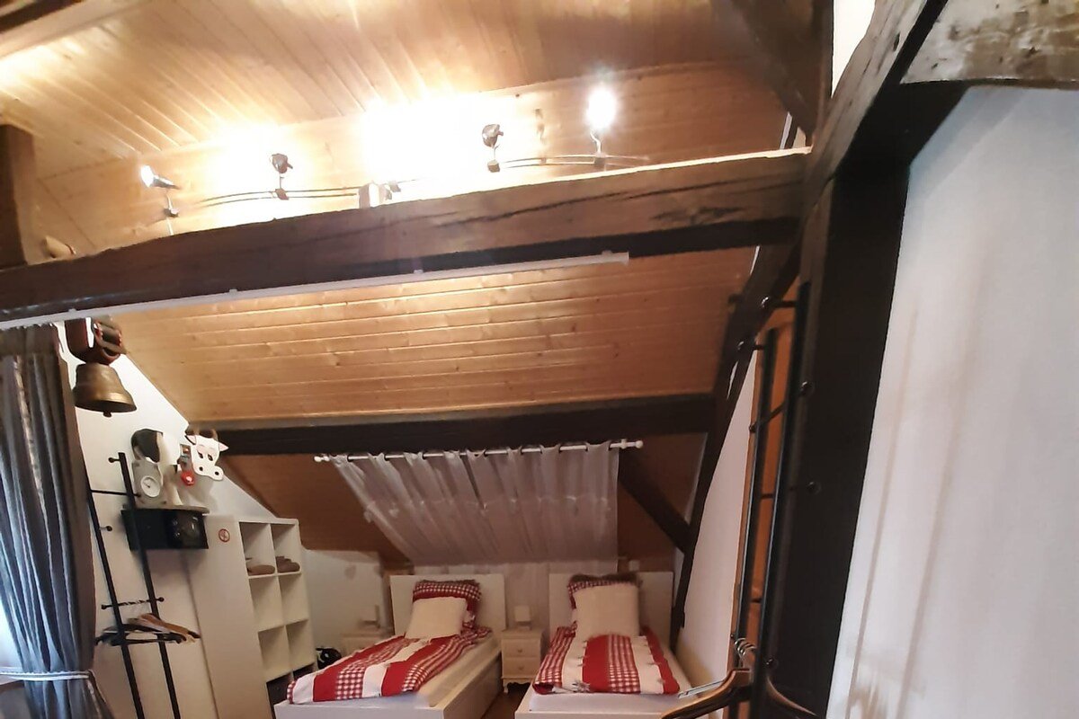 2 chambres/Duplex Grand-Saconnex Palexpo Aéroport gallery image 3