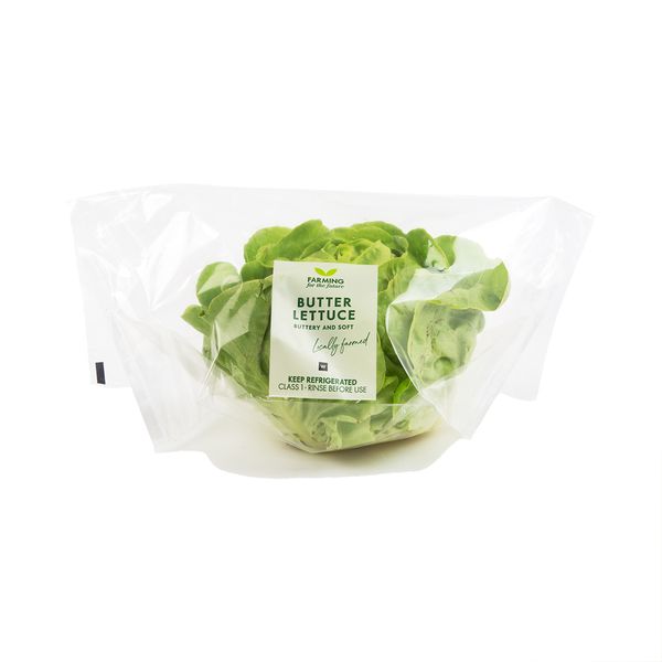 Photo of Butter Lettuce
