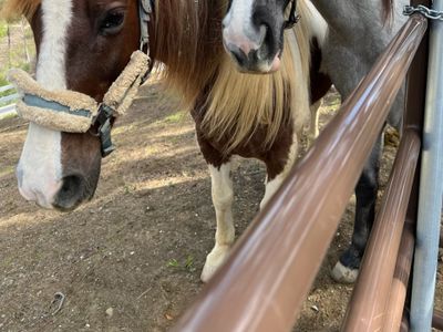 Ocean Views! Pool NEW 2/2 Malibu House Parking
