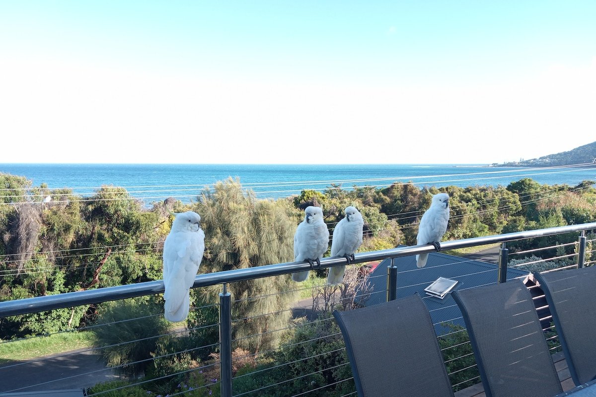 Lorne Ocean Front Escape gallery image 5