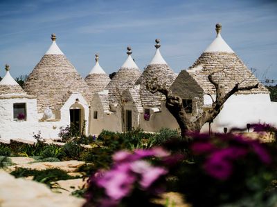 Trulli Pinacea