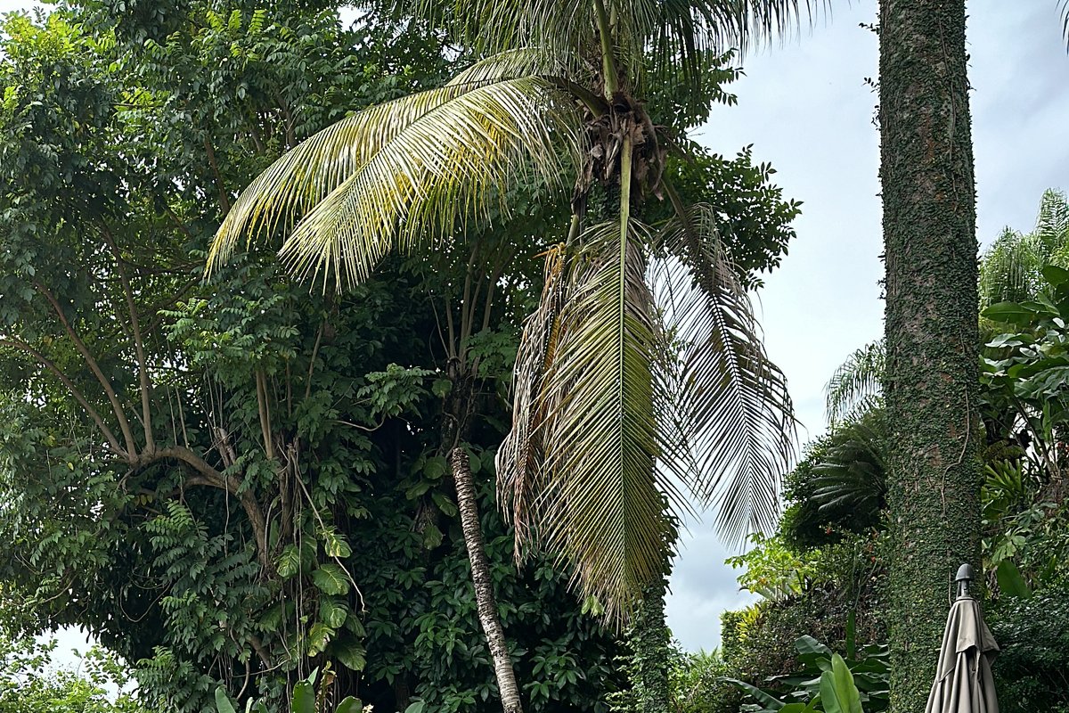 Casa de montanha próxima a praia