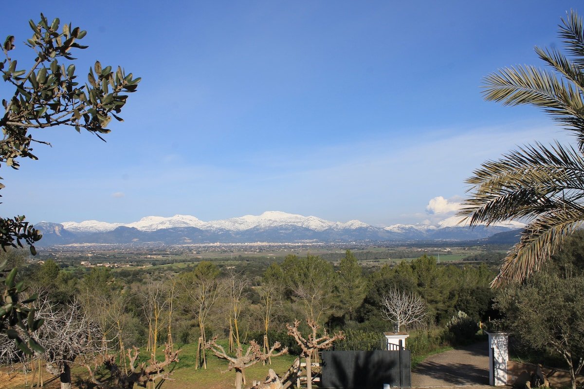 WONDERFUL VILLA IN COSTITX – PUIG DEN CONET gallery image 5