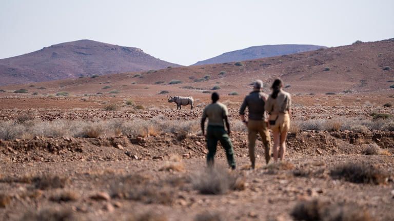 Wilderness Desert Rhino Camp - The rugged beauty of the Palmwag Concession sets the scene for an impactful encounter with desert-adapted rhinos.