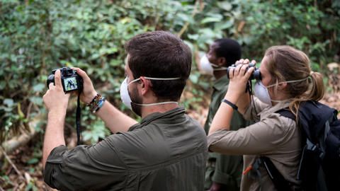 Ngaga Lodge - Kamba African Rainforest Experiences - Gorilla tracking