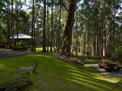 Hastings Bay Retreat – Idyllic Forest Hideaway!