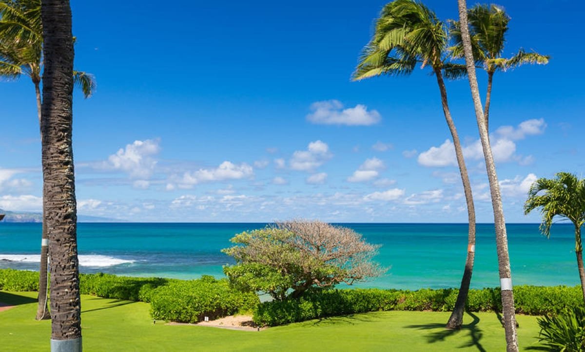 On the beach with views and pool gallery image 5