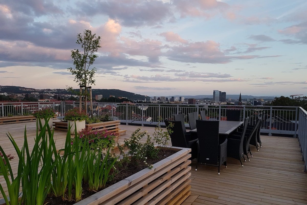 Penthouse (123 sqm + 50 sqm private terraces) gallery image 3