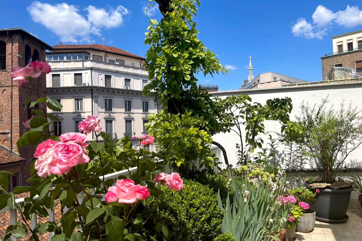Duomo Milano Apartment Terrace 2 rooms Slow Maison