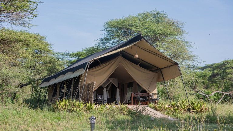 Serengeti Woodlands Camp Twin Tents