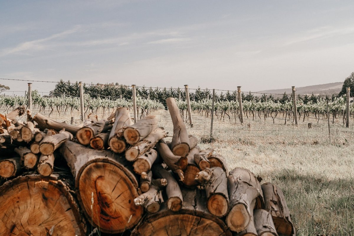 Escapes Top Pick – Group Getaway for the Year gallery image 4