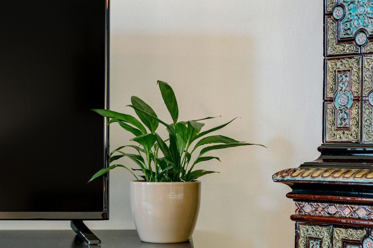 Walk to Historic Sites from a 13th Century Building gallery image 5