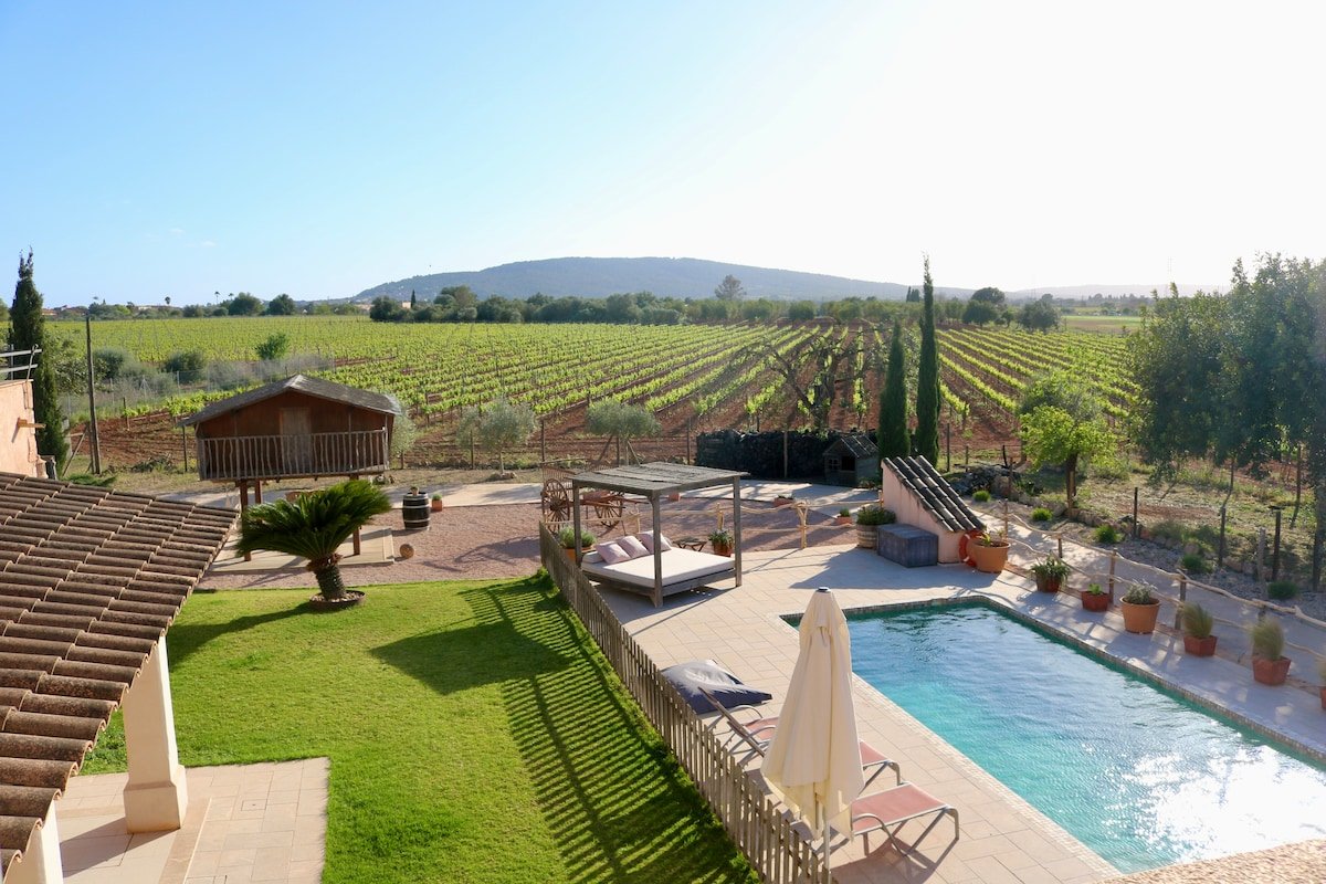 Cas Coix. Jacuzzi, gym & pool gallery image 3