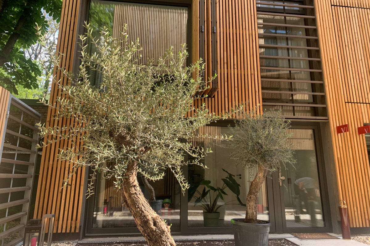 Kleines Stadthaus in schönem Hof