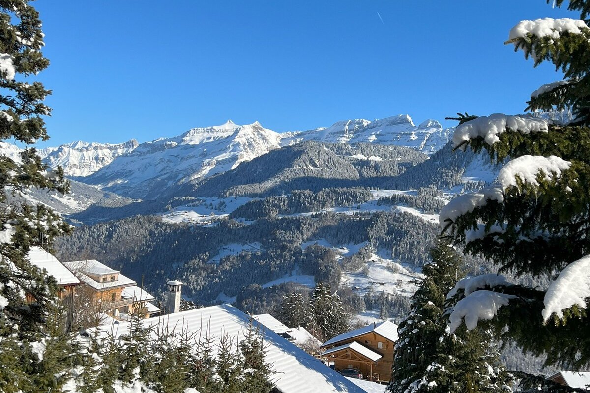 Magnificent Entire Chalet in the Swiss Alps gallery image 5