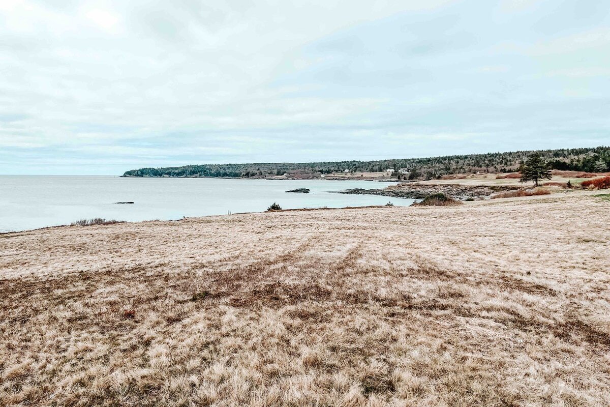 Oceanside Grand Manansion gallery image 4