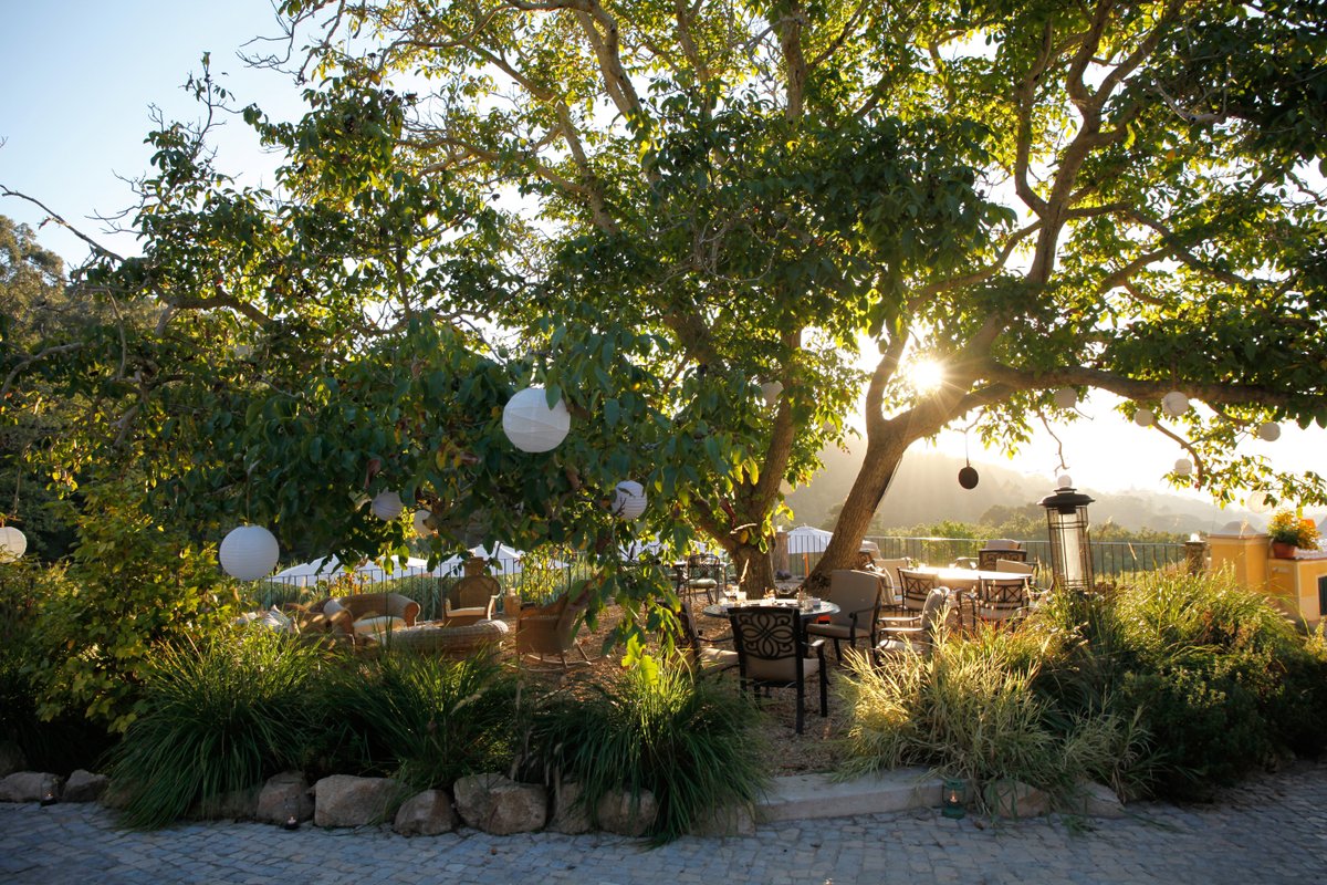 Cozy Christmas ountry villa, fireplace in nature