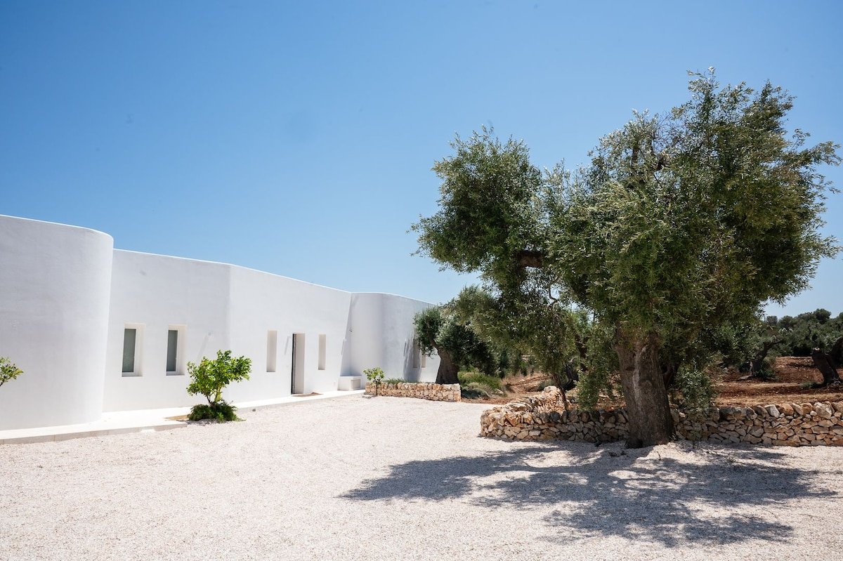 Culture, soleil et gastronomie gallery image 5