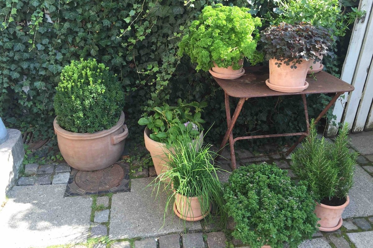 Town house in best area, 200sqm, private garden gallery image 4