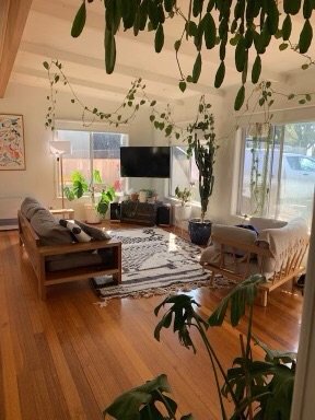 Modern beach bungalow