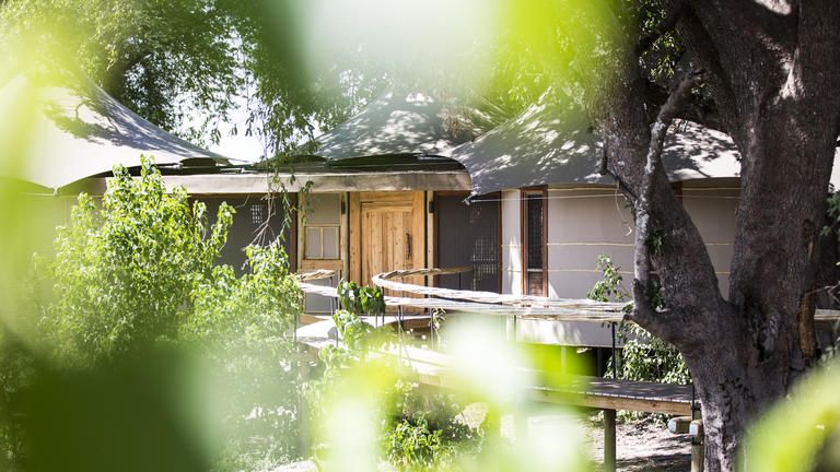 Wilderness Mombo Twin/Double Suite(s)