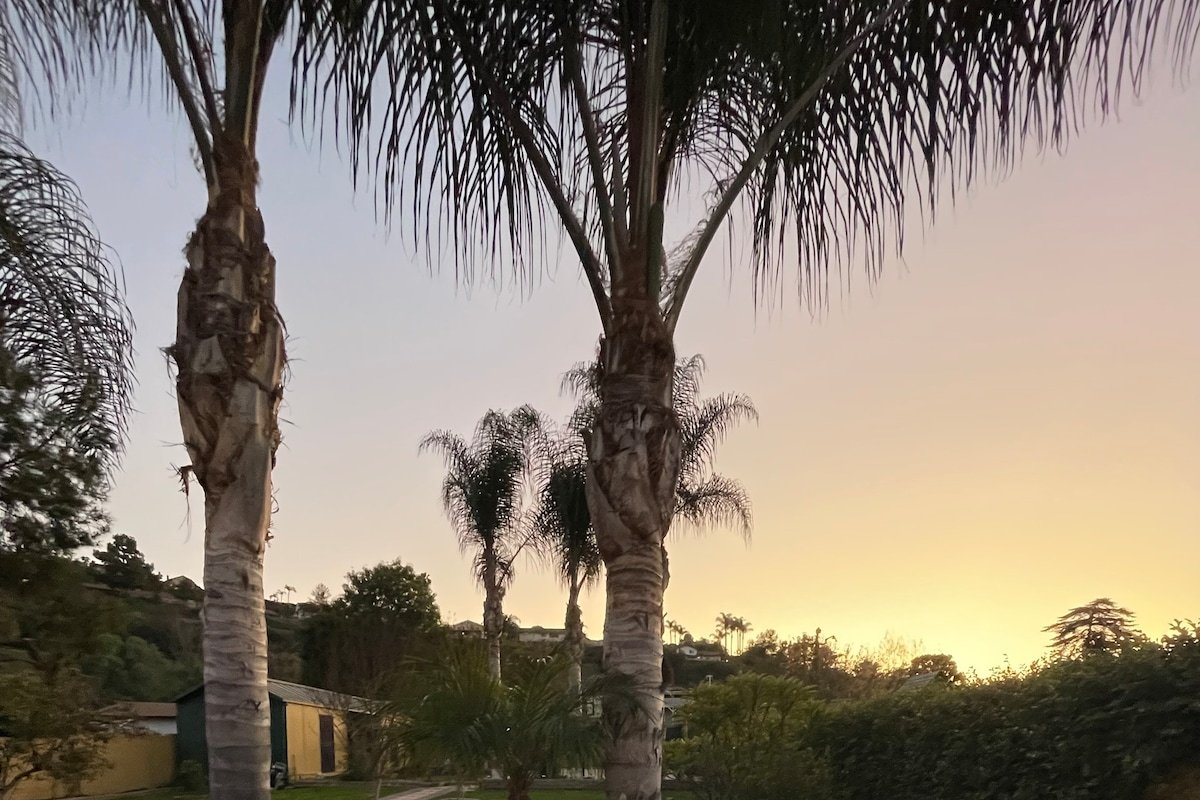 Hills View gallery image 3