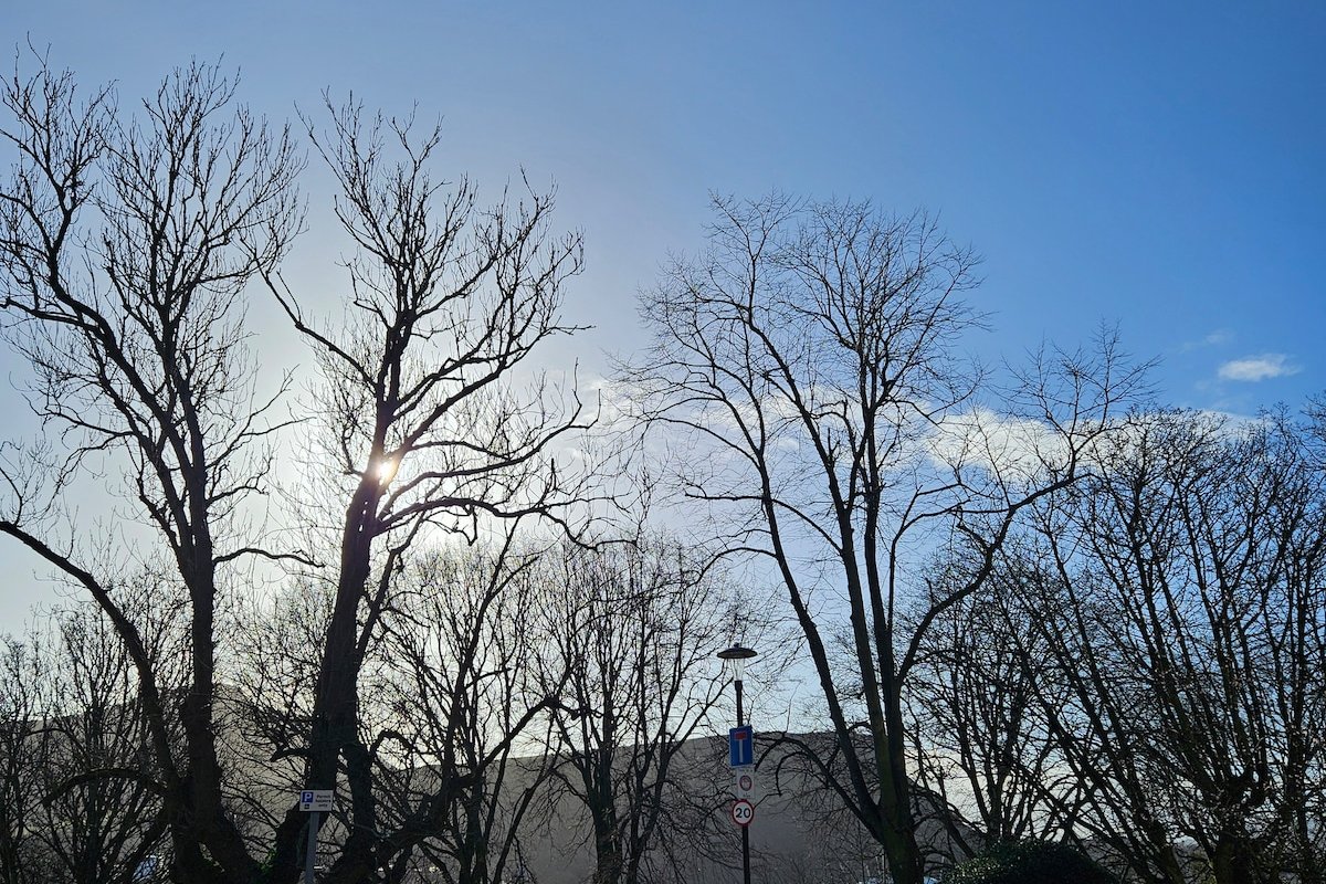 Stylish Georgian city unit gallery image 4