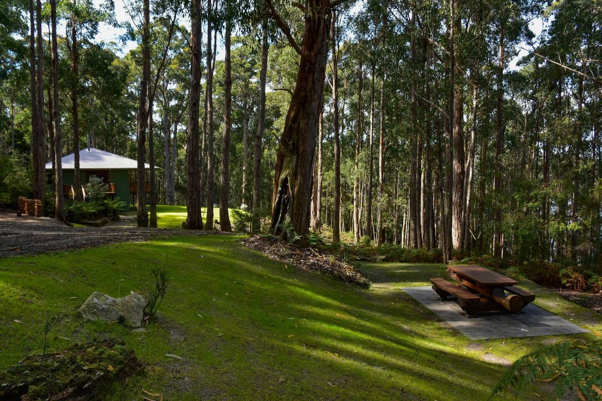 Hastings Bay Retreat – Idyllic Forest Hideaway!