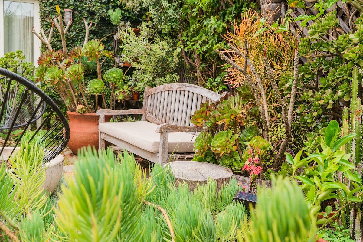 Casa Superba – Peaceful Garden Sanctuary in Venice gallery image 5