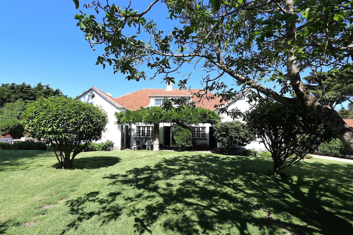 Grand Urban Farmhouse in Sintra gallery image 2