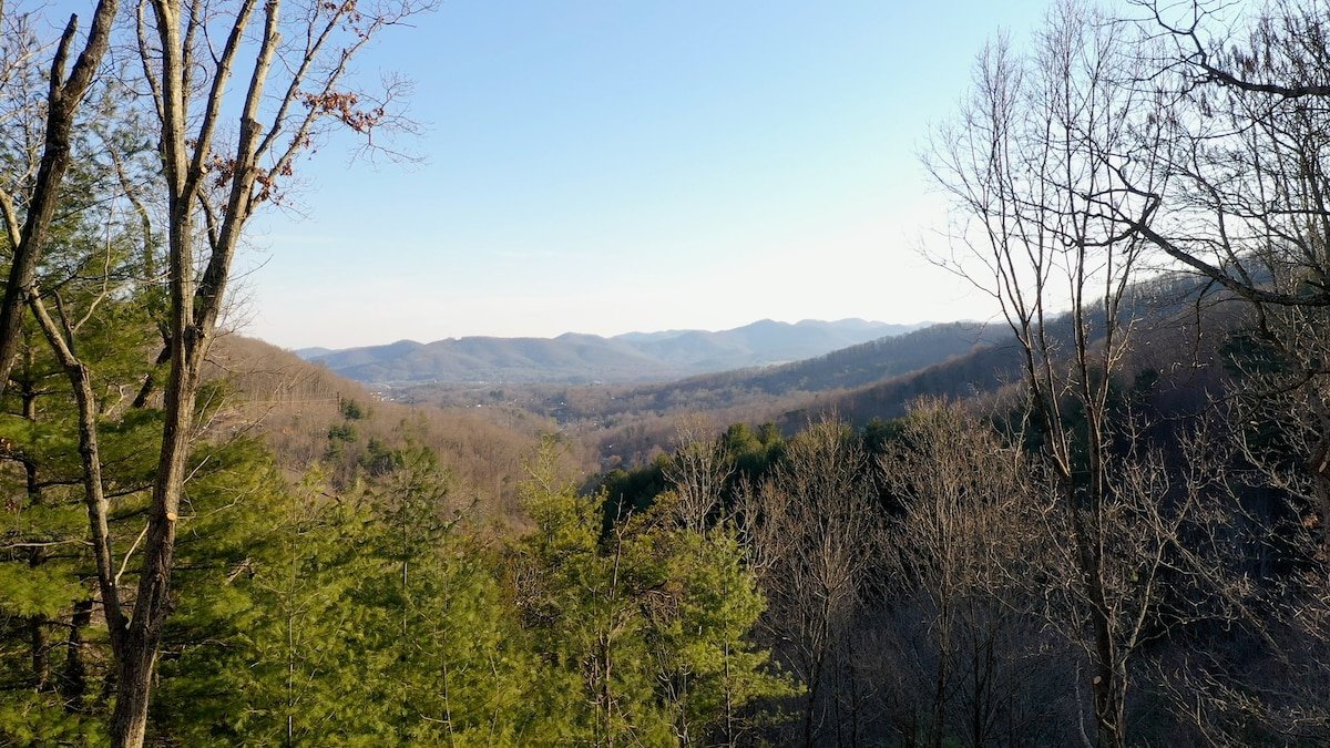 Birchwood Manor gallery image 3