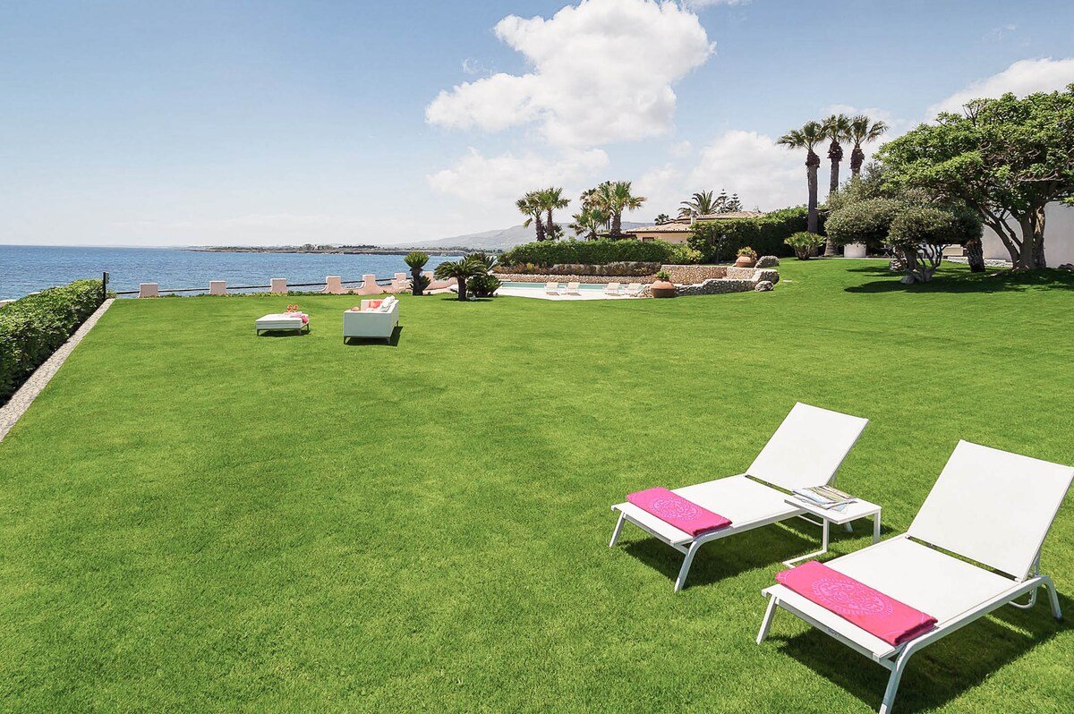 Blue Moon gallery image 5