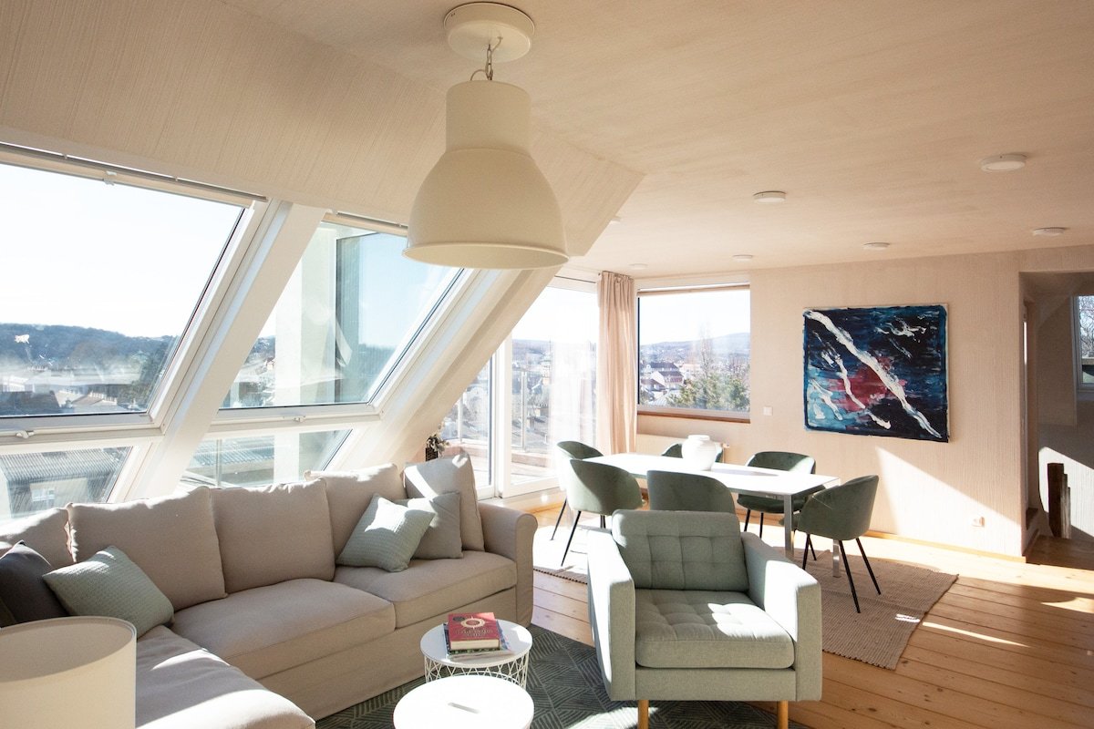 Penthouse with fantastic view – Schloss Schönbrunn gallery image 2