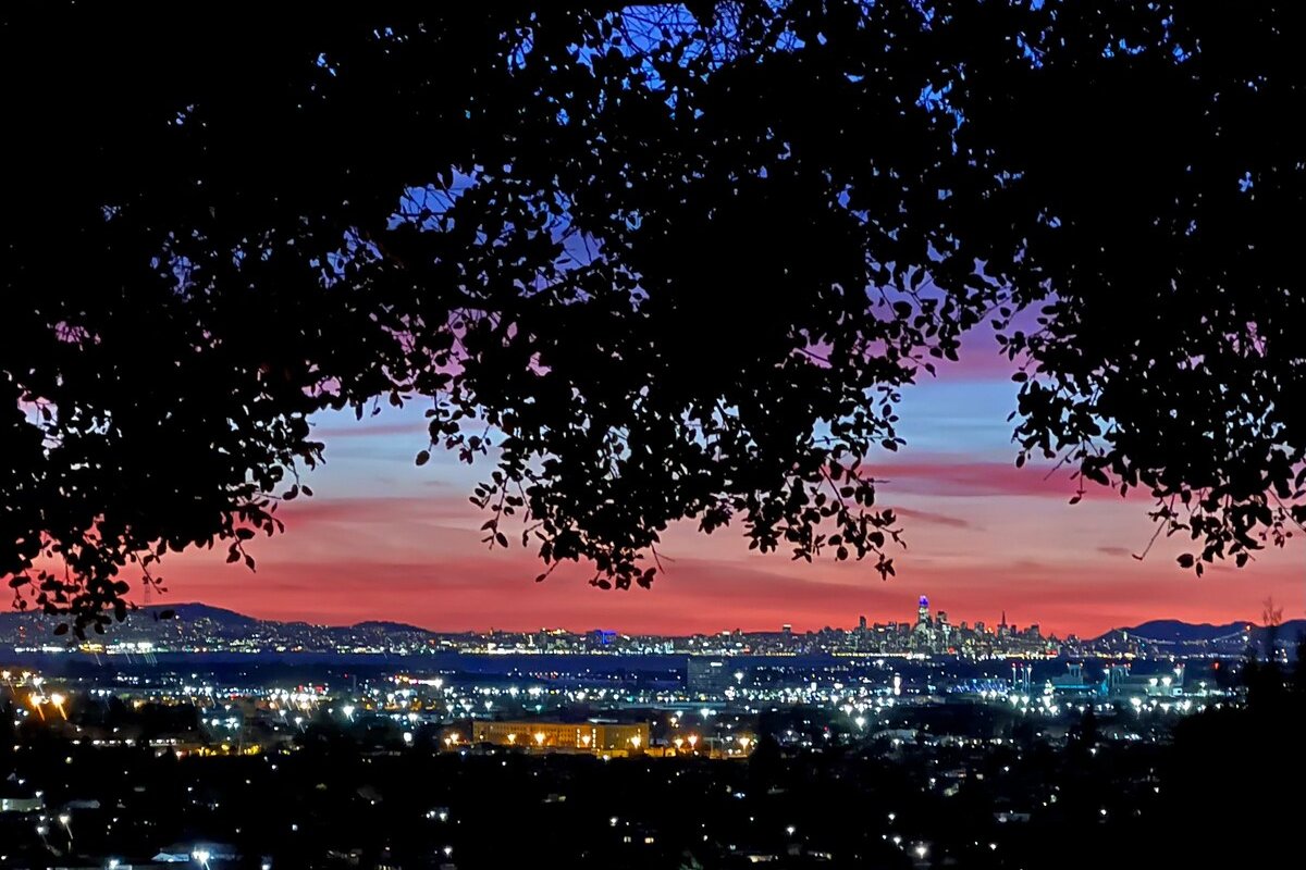 Panoramic Bay Views Sanctuary gallery image 3