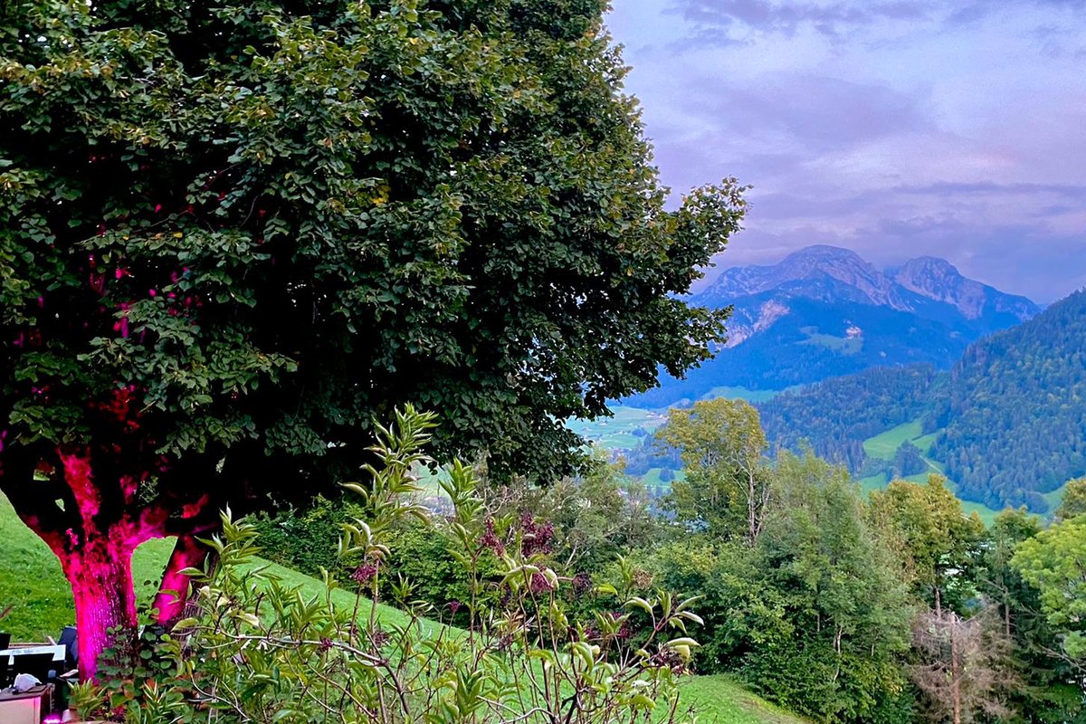 Heidi Chalet Alps – Unique Experience – Authentic