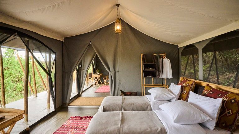 Basecamp Wilderness Family Tent