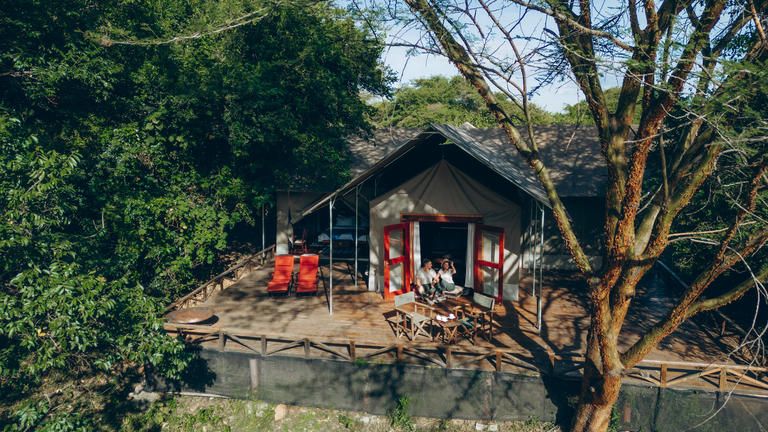 Instinct of the Mara The Forest Suite