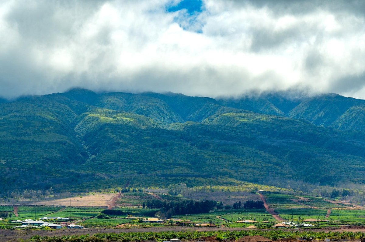 Honua Kai Hokulani 520 | FREE CAR | KBM Resorts gallery image 2