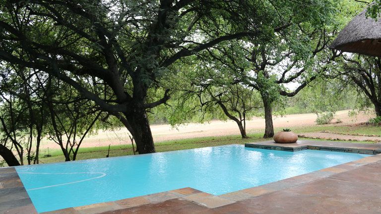 Pool - Pool and braai patio facing the golf course